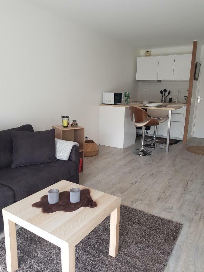 Laurier Apartment Toulouse Luaran gambar